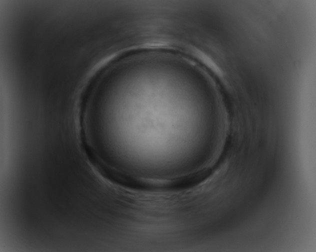 X0000095681456200801081219