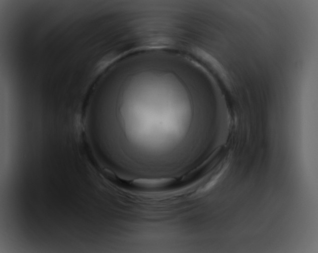 X0000095681457200801081219