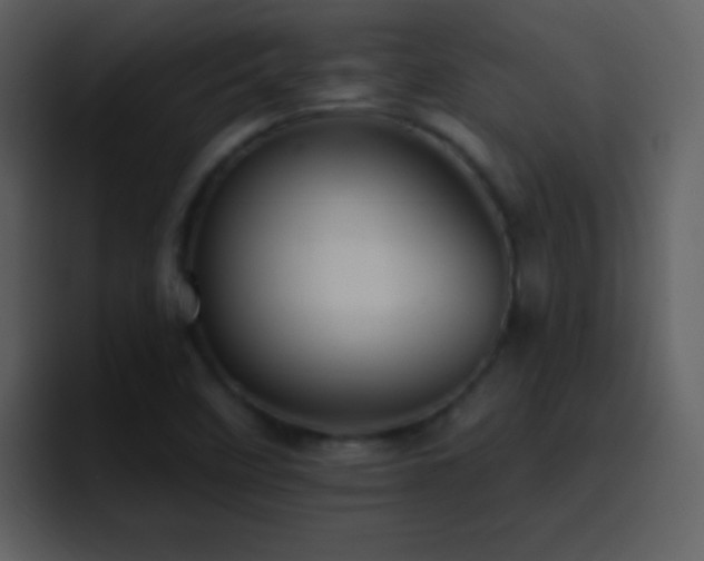 X0000095681458200801081219