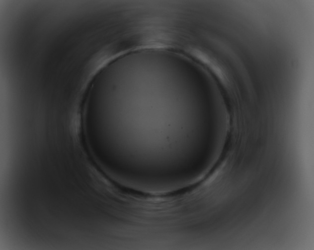 X0000095681459200801081219