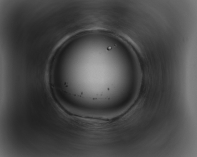 X0000095681460200801081219