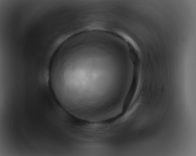 X0000095681461200801081219