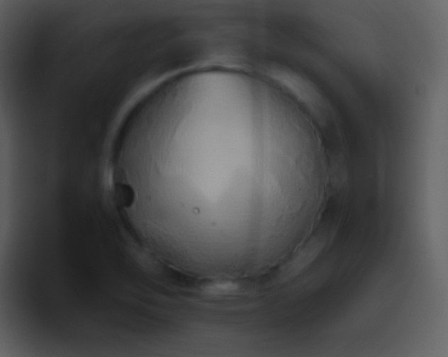 X0000095681462200801081219