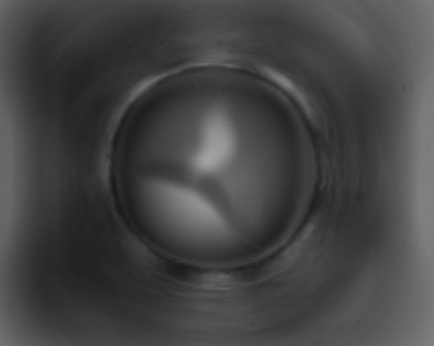 X0000095681463200801081219