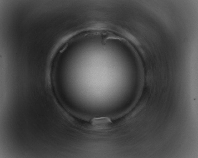 X0000095681464200801081219