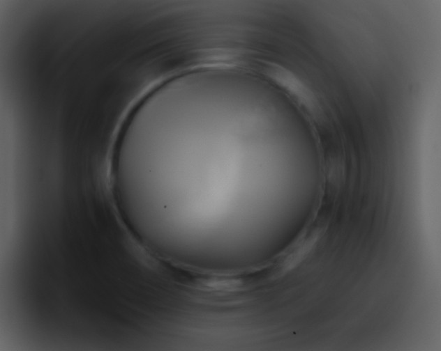 X0000095681466200801081219