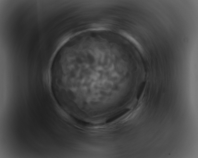 X0000095681467200801081219