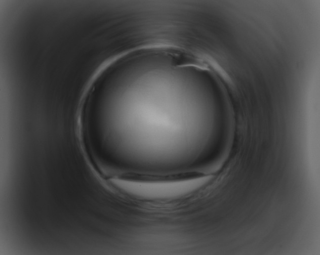 X0000095681468200801081219
