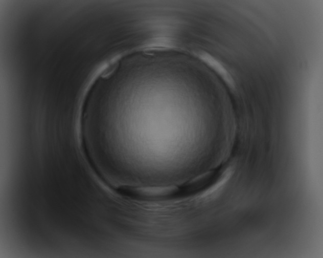 X0000095681469200801081219