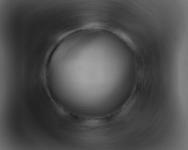 X0000095681470200801081219