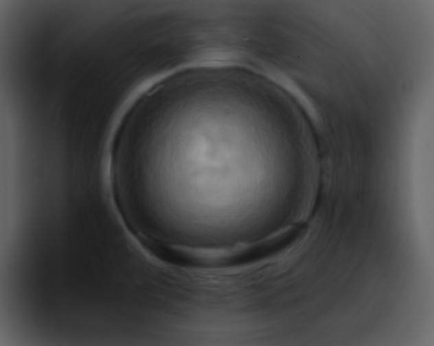 X0000095681472200801081219