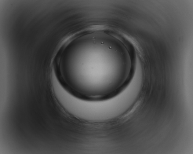 X0000095681473200801081219