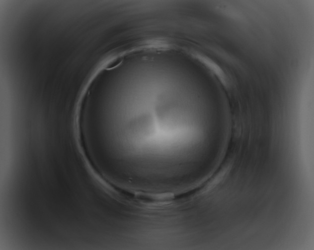 X0000095681475200801081219