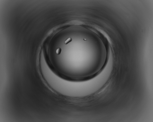 X0000095681477200801081219