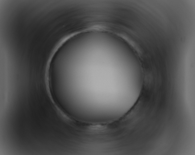 X0000095681478200801081219