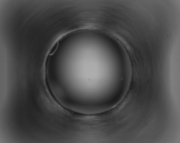 X0000095681479200801081219