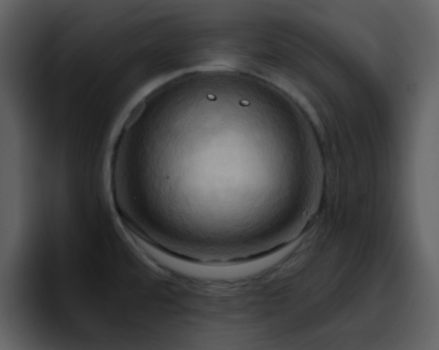 X0000095681480200801081219