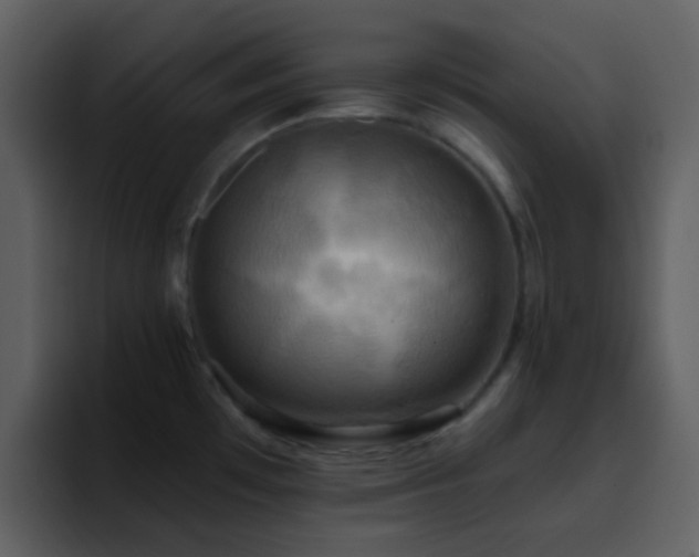 X0000095681481200801081219