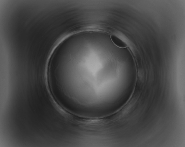 X0000095681482200801081219