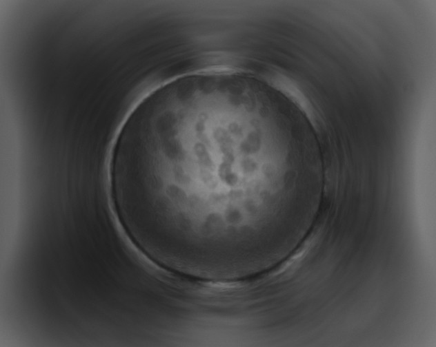 X0000095681483200801081219