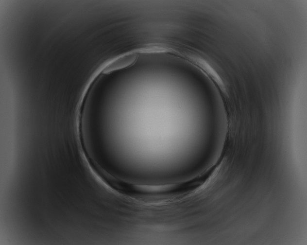 X0000095681484200801081219