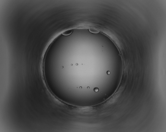 X0000095681486200801081219