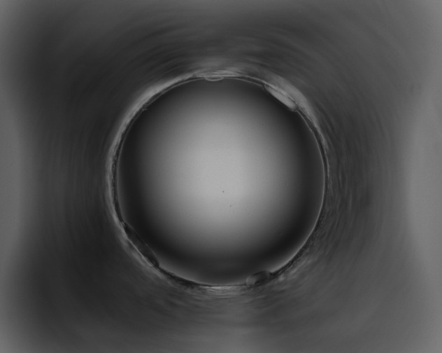 X0000095681488200801081219