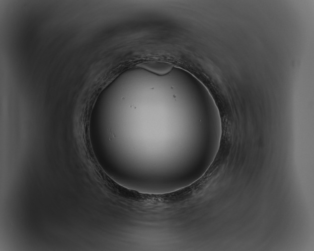 X0000095681489200801081218