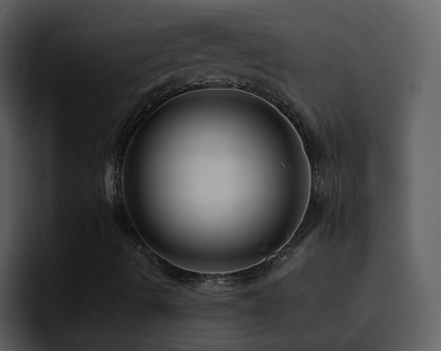 X0000095681490200801081218