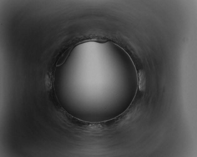 X0000095681491200801081218