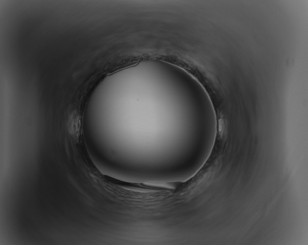 X0000095681492200801081218