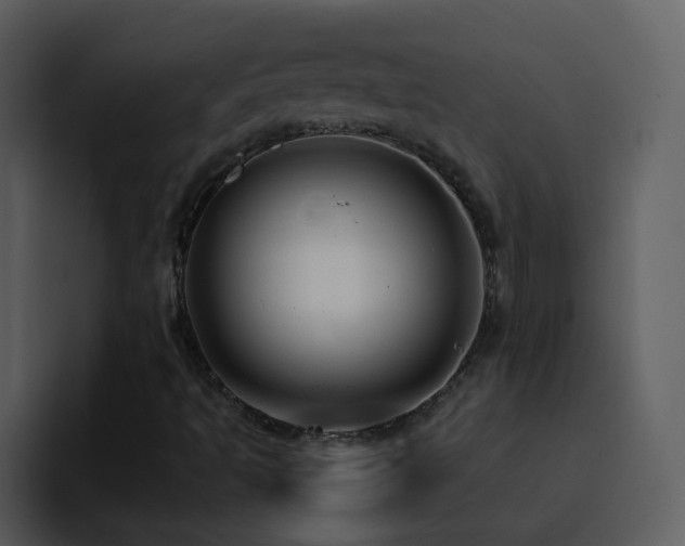 X0000095681493200801081218