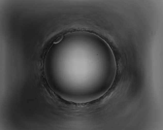 X0000095681494200801081218