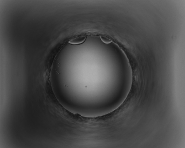X0000095681495200801081218