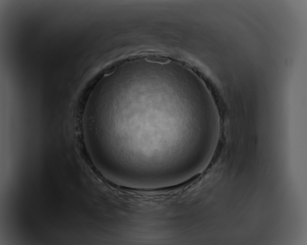 X0000095681496200801081218