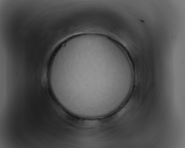 X0000095681498200801081218