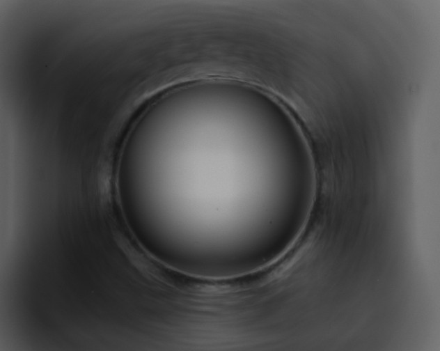 X0000095681499200801081218