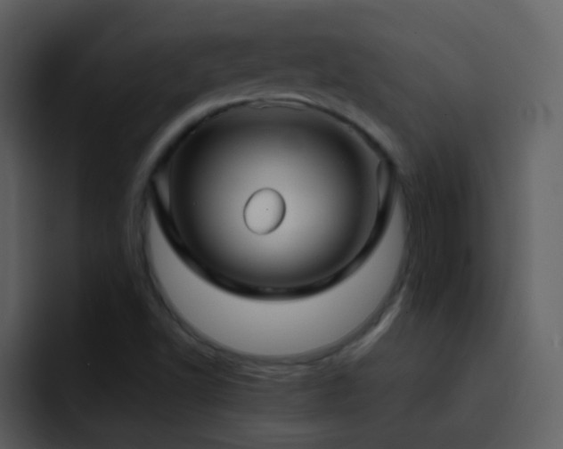 X0000095681502200801081218