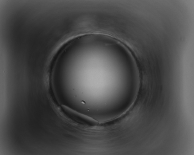 X0000095681503200801081218