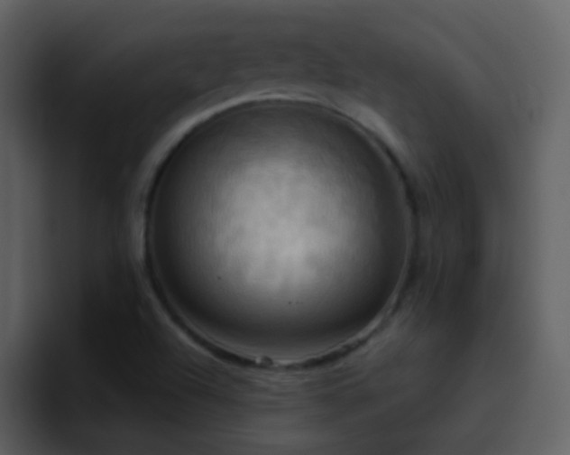 X0000095681504200801081218