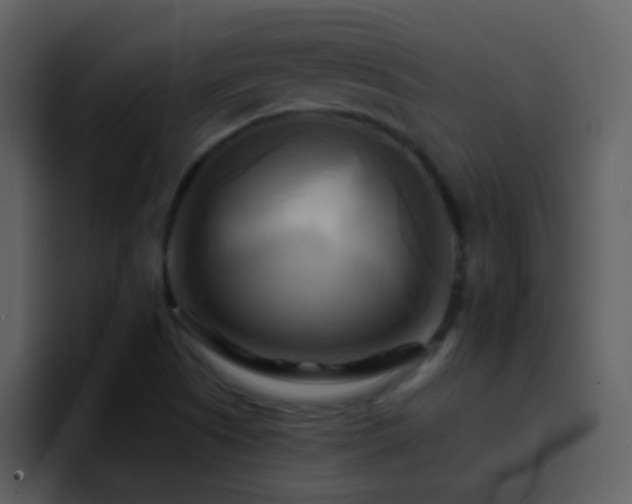 X0000095681505200801081218