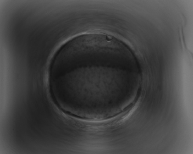 X0000095681506200801081218