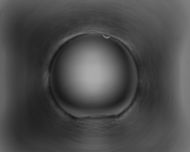 X0000095681507200801081218