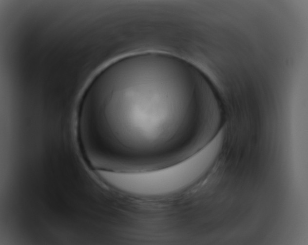 X0000095681508200801081218