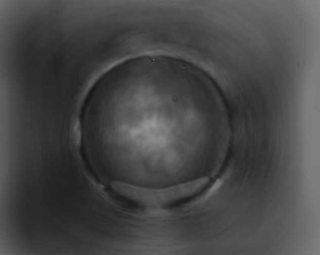X0000095681509200801081218