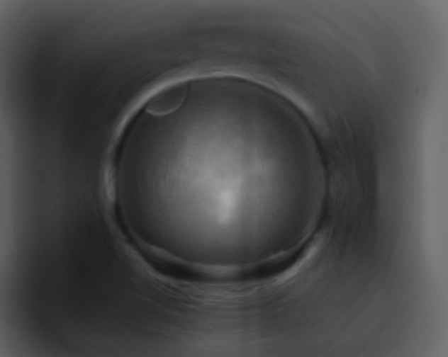 X0000095681510200801081218