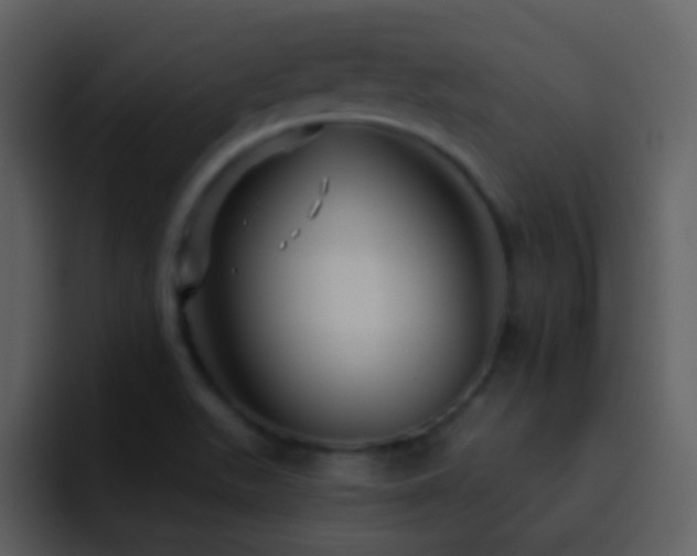 X0000095681511200801081218