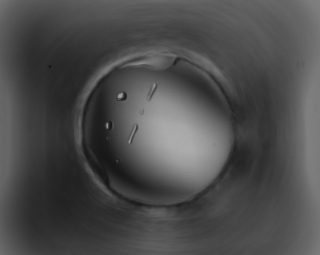 X0000095681512200801081218