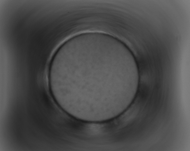 X0000095681514200801081218