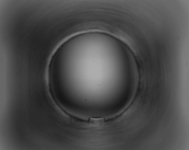 X0000095681516200801081218